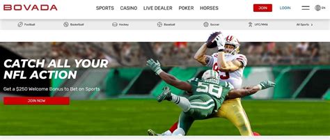 bovada horses|betting horses online.